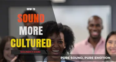 Elevate Your Conversations: Master the Art of Sounding Cultured and Refined