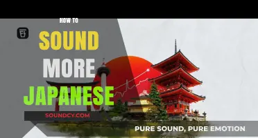 Mastering Japanese Speech Patterns: Tips to Sound More Natural and Fluent