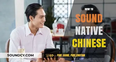Mastering Native Chinese Pronunciation: Tips for Fluent and Authentic Speech