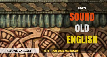 Mastering Old English: Authentic Speech Patterns and Vocabulary for a Timeless Tone