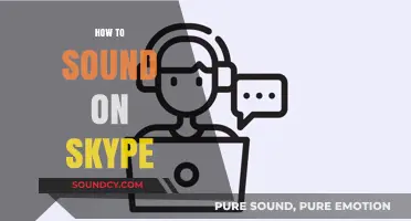 Mastering Clear Communication: Tips to Sound Perfect on Skype Calls