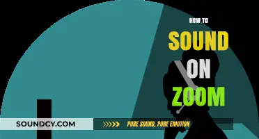 Mastering Zoom Audio: Tips to Sound Clear and Professional Every Time