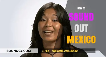Mastering Mexican Pronunciation: A Beginner's Guide to Speaking Clearly