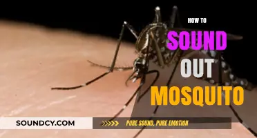 Mastering the Art of Identifying Mosquito Sounds: A Comprehensive Guide