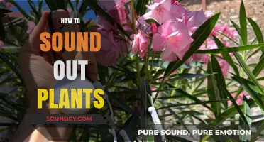 Listening to Nature: Mastering the Art of Sounding Out Plants