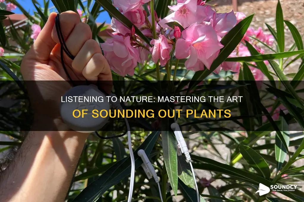 how to sound out plants