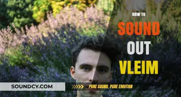 Mastering Pronunciation: A Step-by-Step Guide to Sounding Out 'Vleim