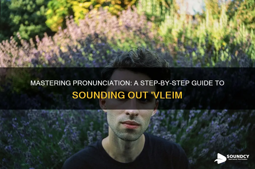 how to sound out vleim