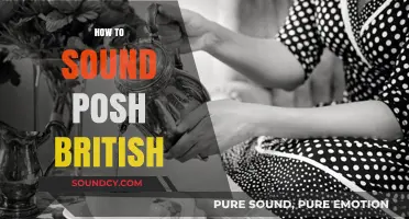 Mastering the Art of Posh British Speech: Tips and Techniques