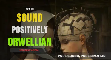 Mastering Doublethink: Crafting Positively Orwellian Language in Modern Discourse