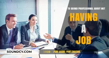 Navigating Unemployment: Tips for Professional Communication