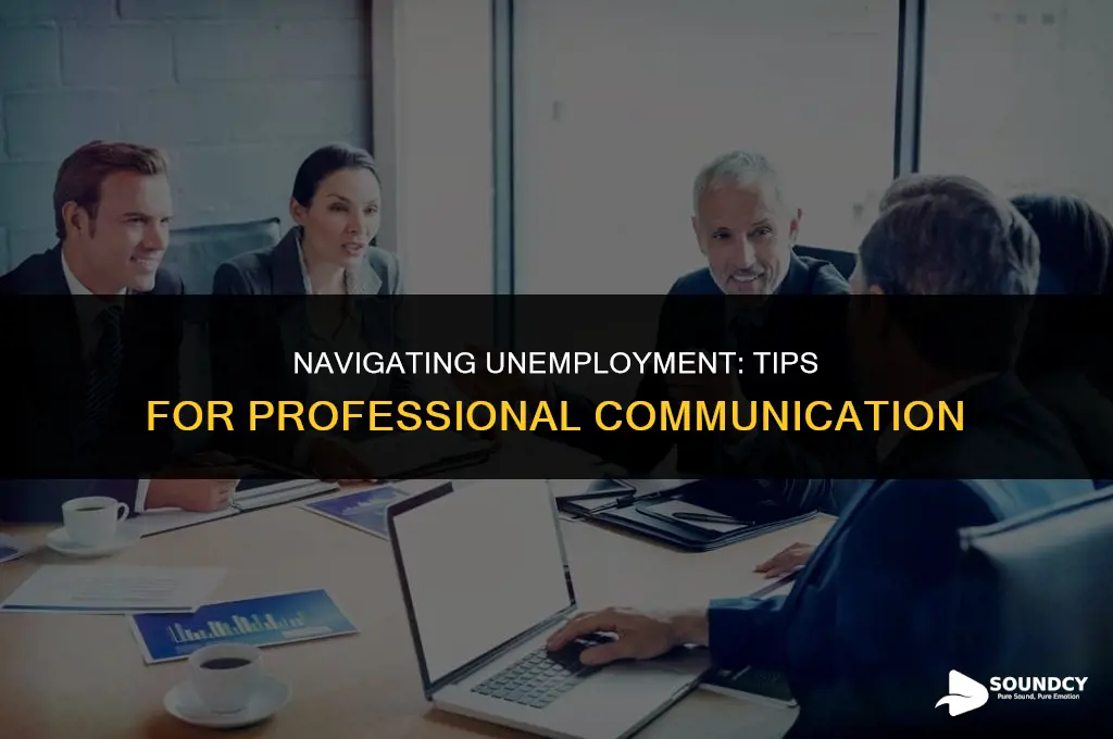 how to sound professional about not having a job
