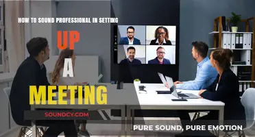 Mastering the Art of Professional Meeting Setup: A Guide