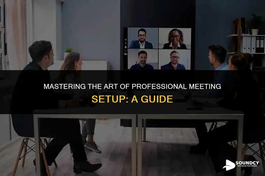 how to sound professional in setting up a meeting
