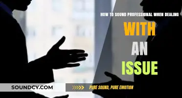Mastering Professionalism: Tackling Issues with Confidence and Poise