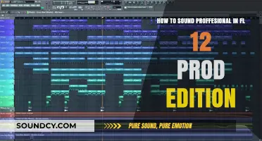 Mastering the Art of Professional Sound in FL Studio 12 Producer Edition