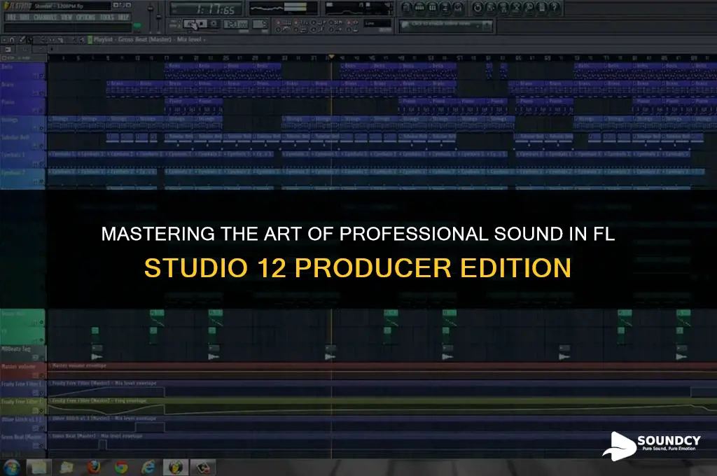 how to sound proffesional in fl 12 prod edition