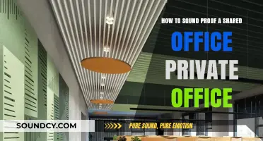 Soundproofing Solutions: Transforming Shared Spaces into Private Offices
