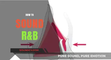 Mastering R&B Vocals: Techniques to Achieve That Smooth, Soulful Sound