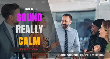 Mastering Serenity: Techniques to Sound Calm and Collected in Any Situation