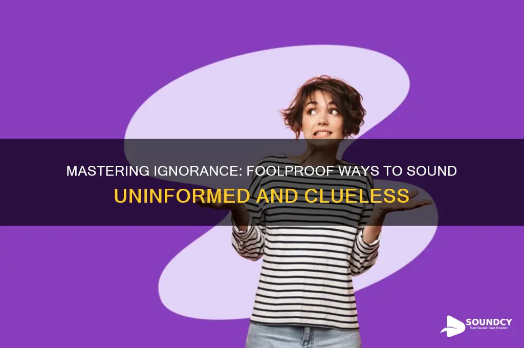 how to sound really ignorant