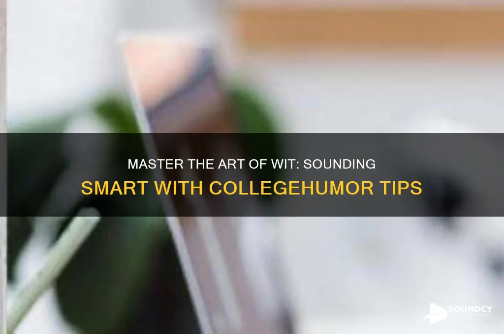 how to sound smart collegehumor