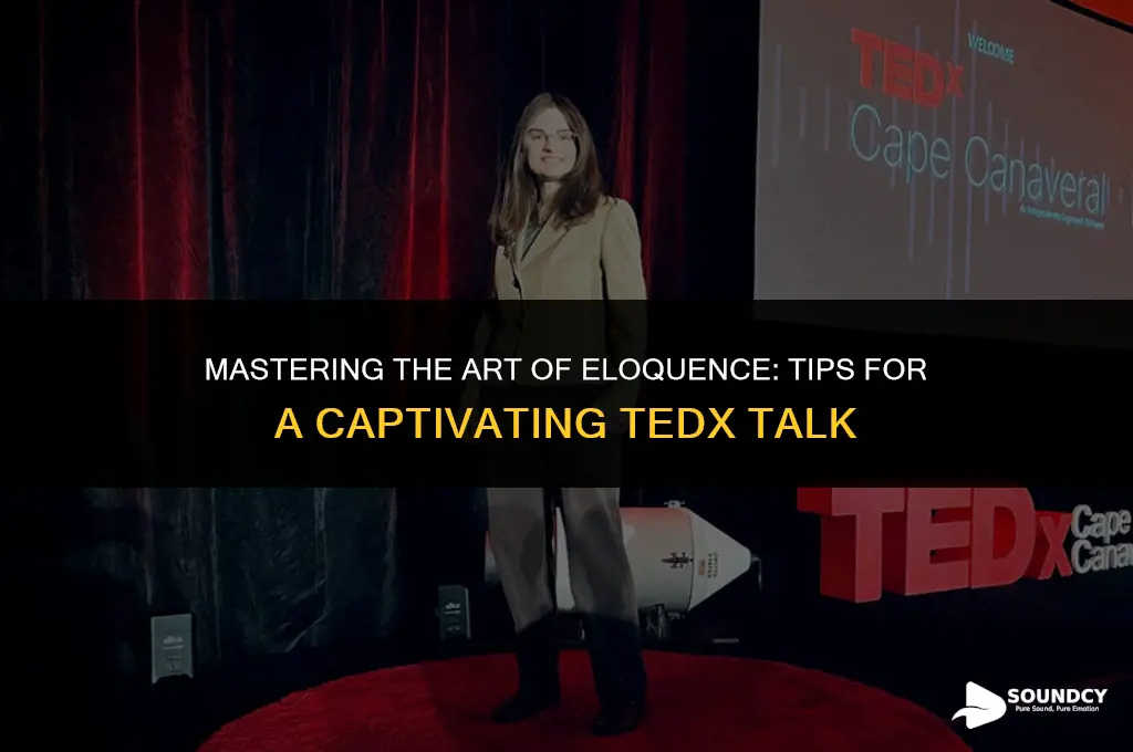 how to sound smart in your ted x talk
