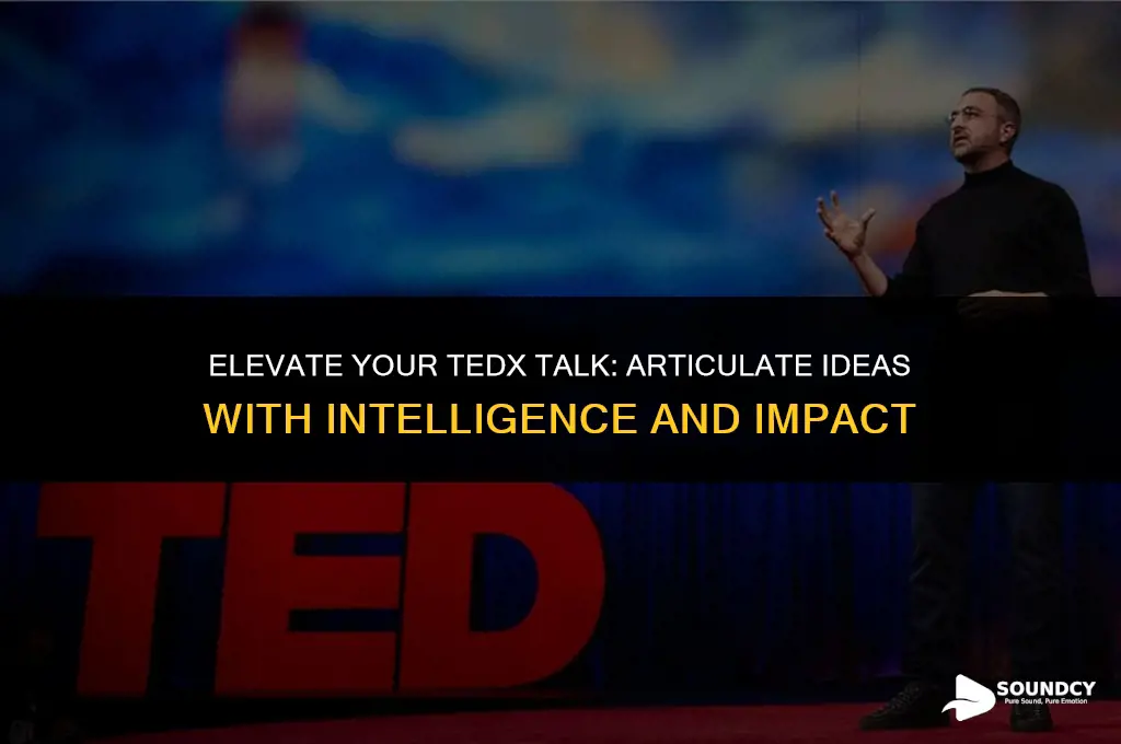 how to sound smart in your tedx talk transcript