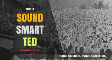 Master the Art of Eloquent Speaking: TED-Worthy Tips to Sound Smart