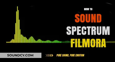 Mastering Sound Spectrum Effects in Filmora: A Step-by-Step Guide