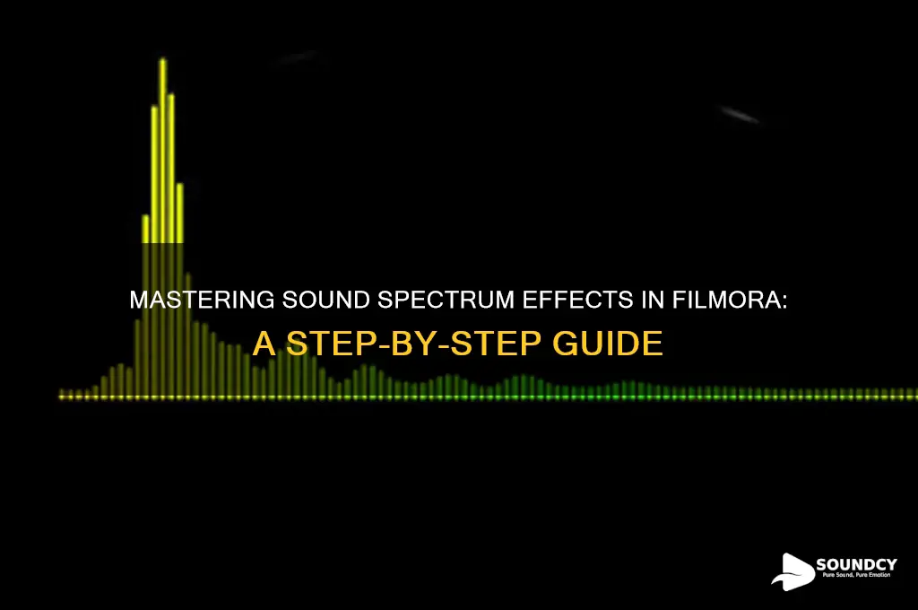 how to sound spectrum filmora