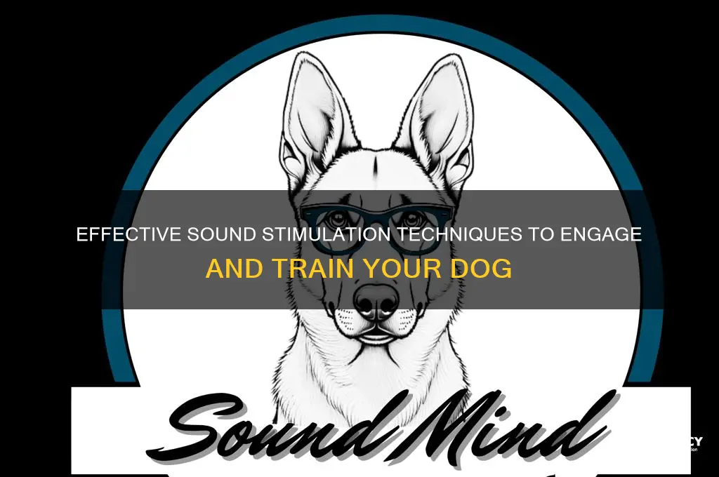 how to sound stimulate dog