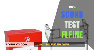 Mastering Sound Testing: A Comprehensive Guide to Using FLFine Effectively