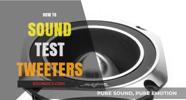 Mastering Tweeter Sound Testing: A Step-by-Step Guide for Clarity
