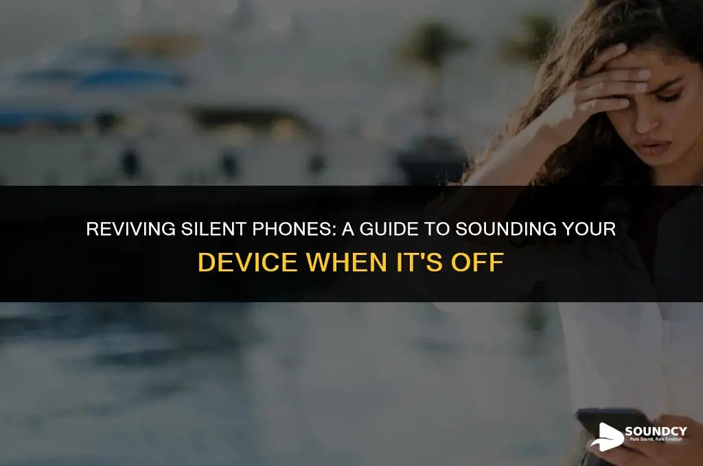 how to sound your phone when it is off