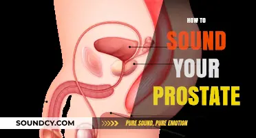 Effective Techniques for Prostate Health: How to Sound Your Prostate Safely