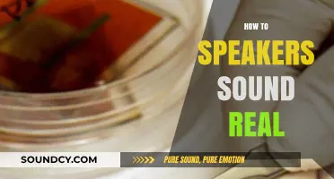 Mastering Realism: Techniques to Make Speakers Sound Authentically Real