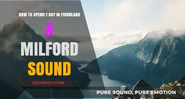 Exploring Fiordland & Milford Sound: A Perfect One-Day Itinerary