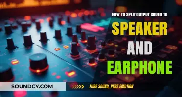 Audio Mastery: Splitting Sound Between Speakers and Earphones