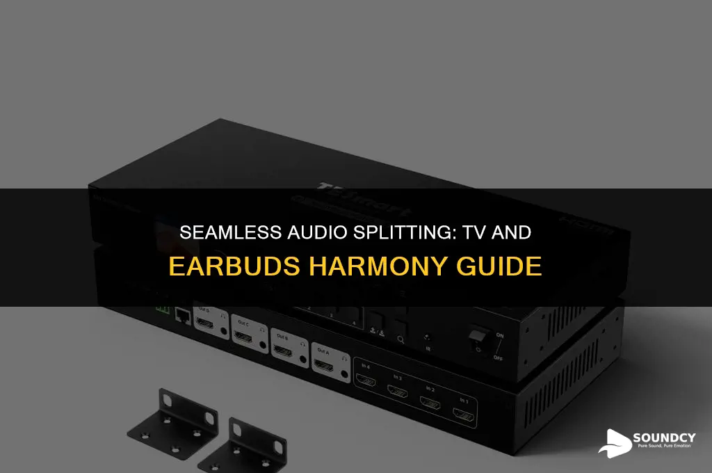 how to split sound between tv and ear buds
