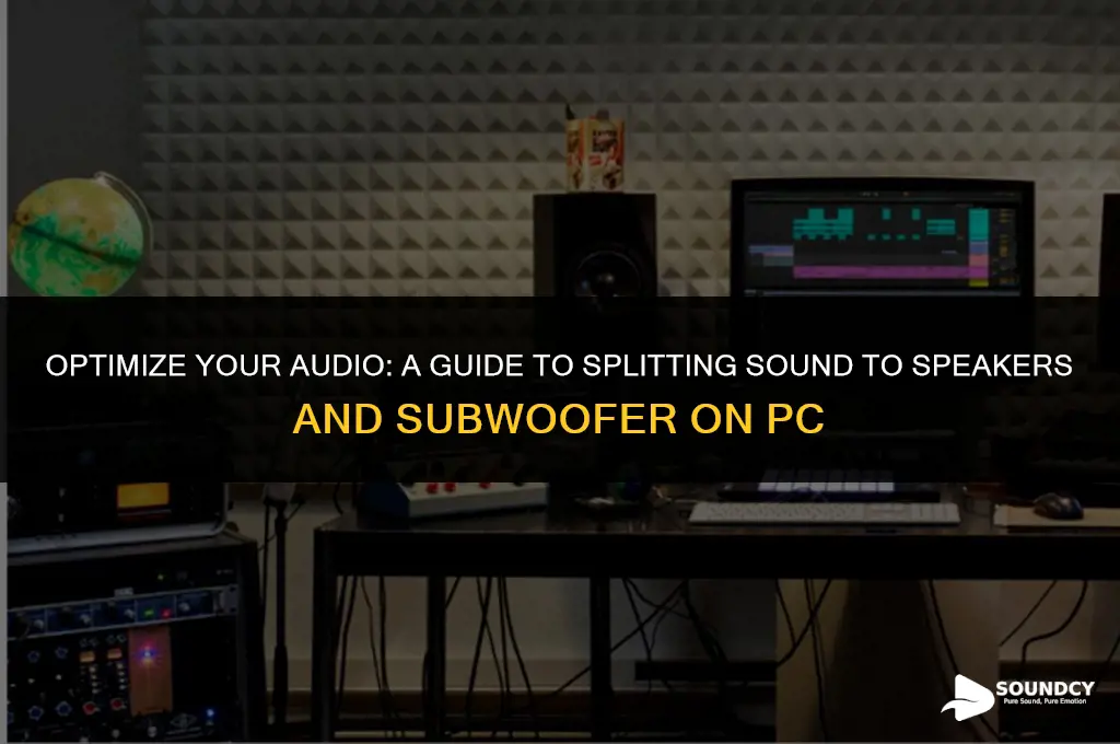 how to split sound to speakers and subwoofer pc