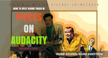 Mastering Audio Editing: A Step-by-Step Guide to Splitting Soundtracks in Audacity