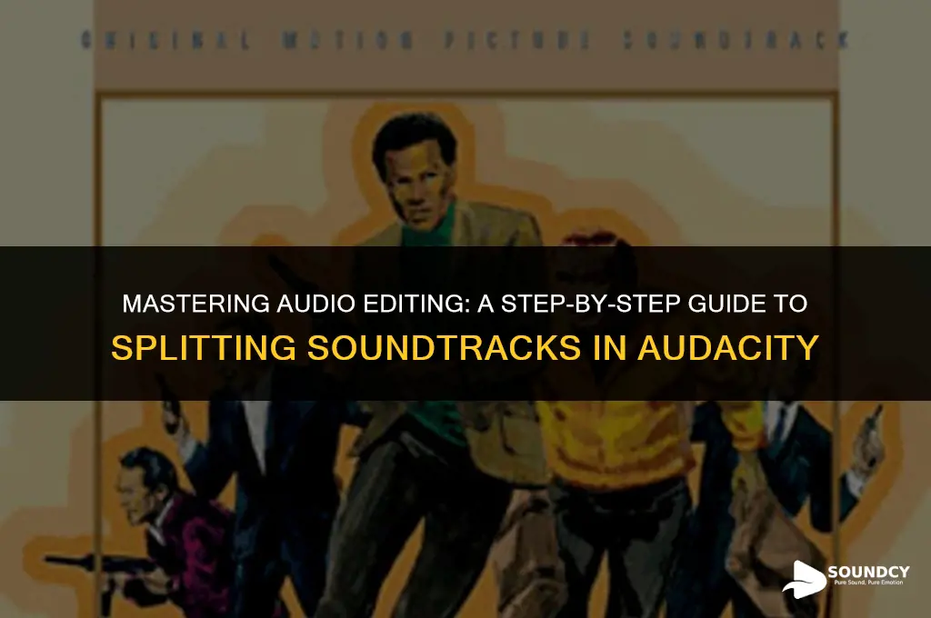 how to split sound track in pieces on audacity