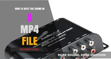 Extracting Audio Tracks: A Step-by-Step Guide to Splitting MP4 Sound