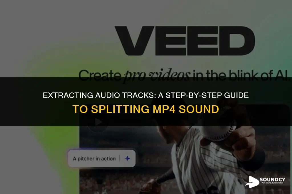 how to split the sound in a mp4 file