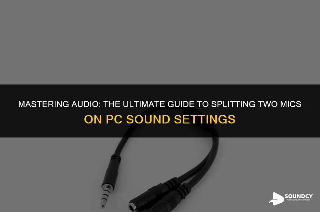 how to split two mics on pc sound settings