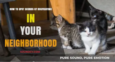 Identifying the Disturbing Sounds of Dogfighting in Your Community