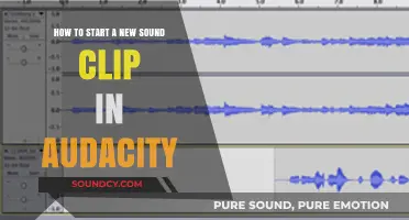 Launching Your Audio Journey: A Beginner's Guide to Starting Sound Clips in Audacity