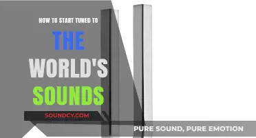 Echoes of the Earth: A Beginner's Guide to Tuning In