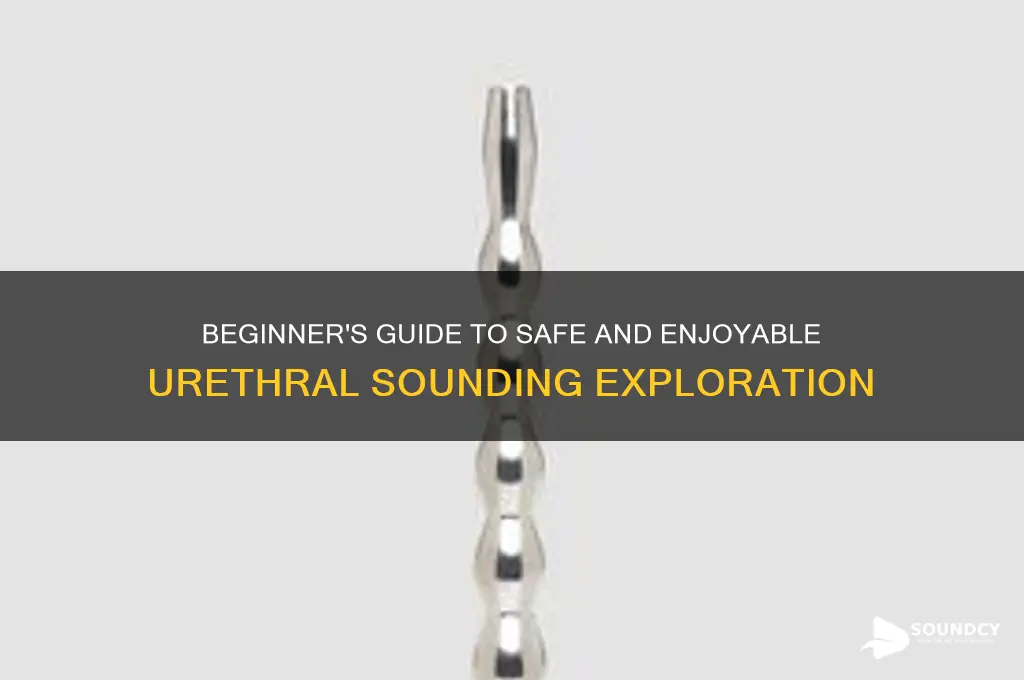 how to start urethral sounding